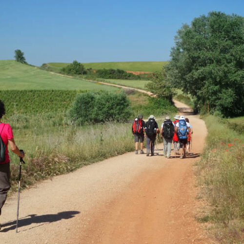 Group of pilgrims walking along the Camino de Santiago in Spain